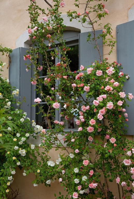 Logis Hotel - Restaurant La Marbrerie Caunes-Minervois Quarto foto